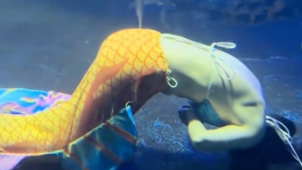 Una ‘sirena’ se desmaya en plena actuación bajo el agua&nbsp;(Video)