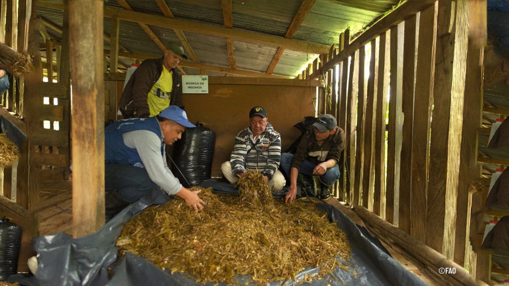 La FAO conmemora el Día Internacional de la Sanidad Vegetal con un llamado mundial a la&nbsp;acción