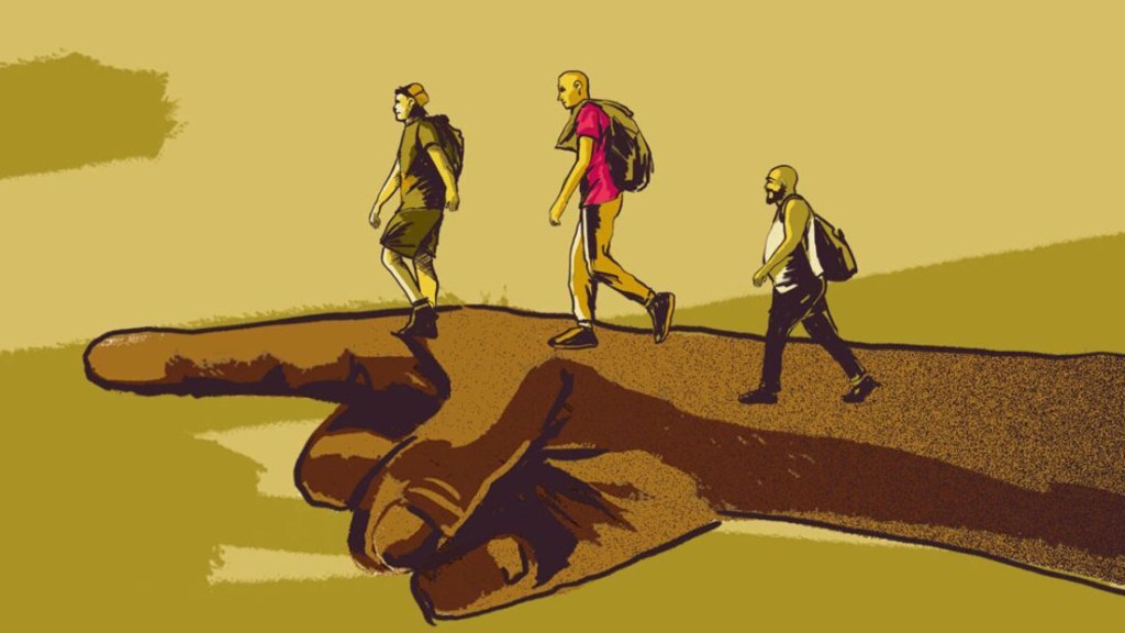 Verdades migratorias