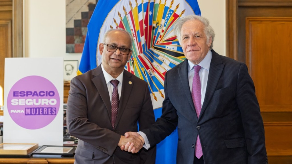 ¿Sobrevivirá la OEA en la era&nbsp;post-Almagro?
