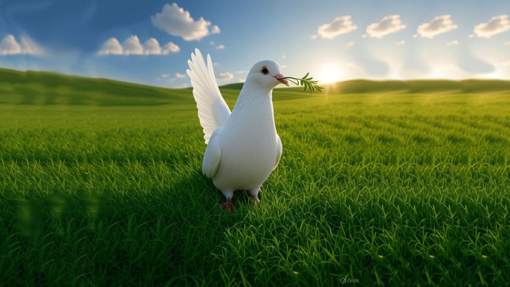 Paz