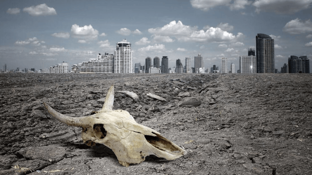 El diabólico criminal capitalismo salvaje está en plena efervescencia y va contra toda forma de vida en nuestra Madre&nbsp;Tierra