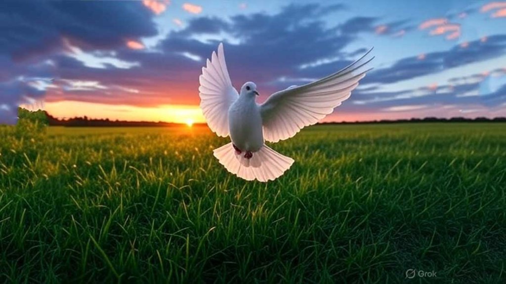 Paz para la convivencia del&nbsp;pueblo