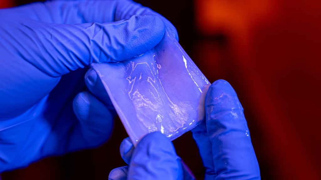 Crean el supermaterial del mañana, que podría decir adiós a la contaminación&nbsp;plástica