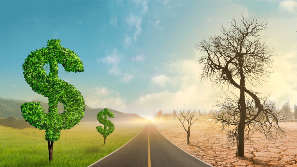 Las contrariedades del capitalismo&nbsp;salvaje