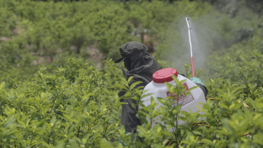 EE.UU.-Colombia: un ‘show’ antidrogas y castigo del&nbsp;imperio