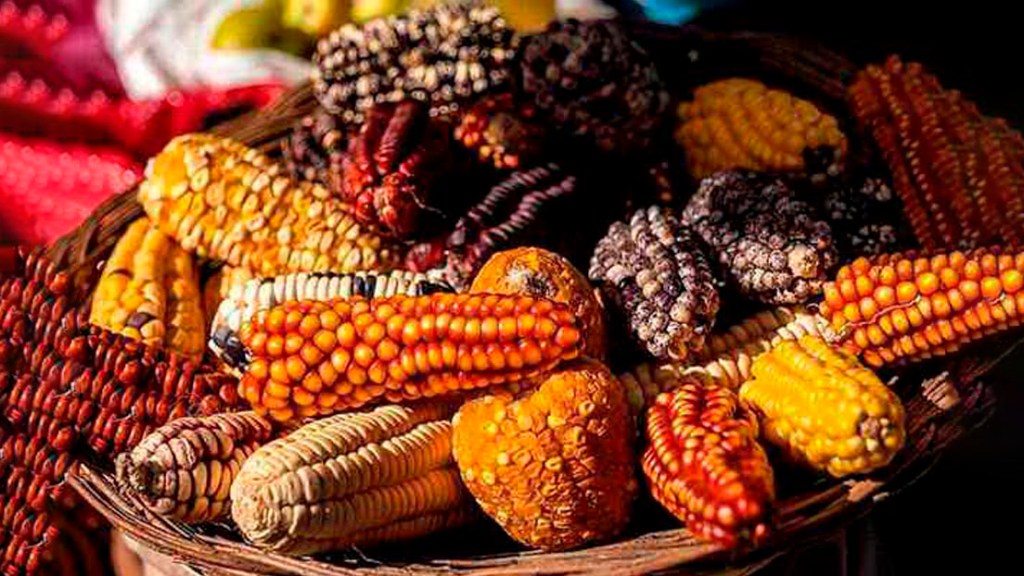 «Sin maíz no hay país»: un movimiento social a favor del campo y la&nbsp;alimentación