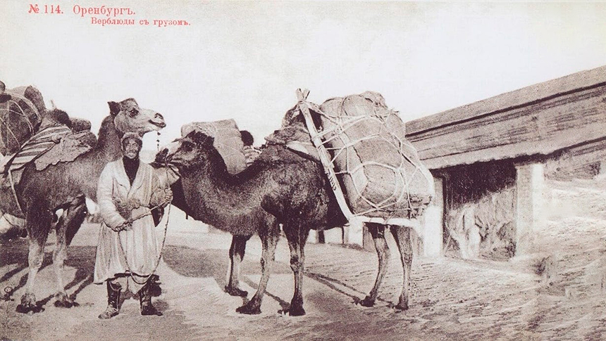 Sobre el comercio con Asia Central – Nikolai Petrovsky,&nbsp;1872