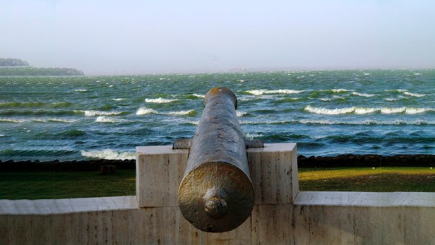 Todos contra los&nbsp;piratas