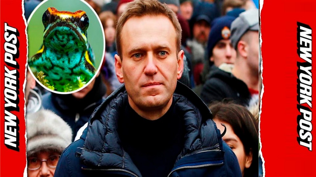 Las últimas afirmaciones de que Rusia envenenó a Navalny buscan sabotear los esfuerzos de paz de Estados&nbsp;Unidos.