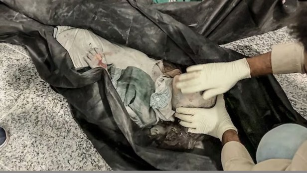 La paz por la&nbsp;fuerza