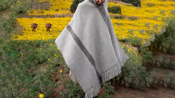 Arrastrando el poncho