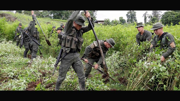 Medio Siglo de Militarización Antidrogas: Cómo la Estrategia de EE.UU. Alimenta la Violencia en&nbsp;México