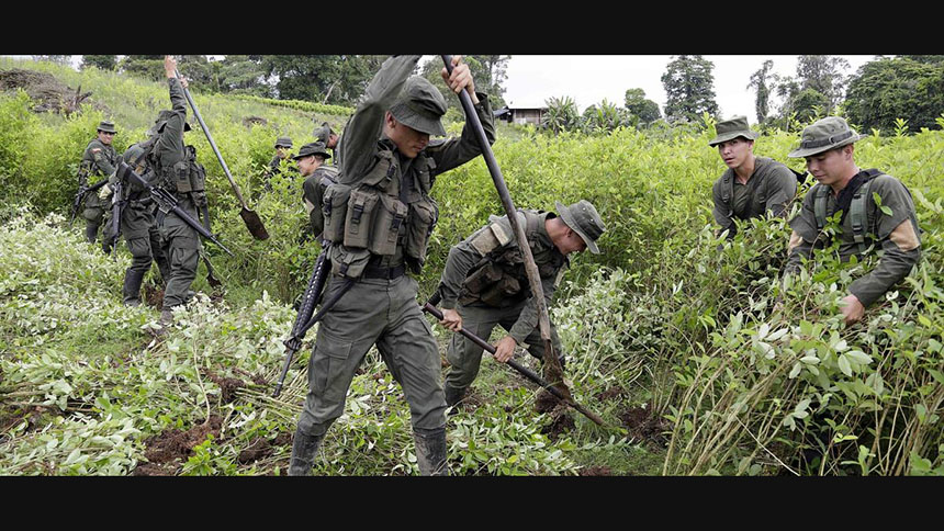 Medio Siglo de Militarización Antidrogas: Cómo la Estrategia de EE.UU. Alimenta la Violencia en&nbsp;México