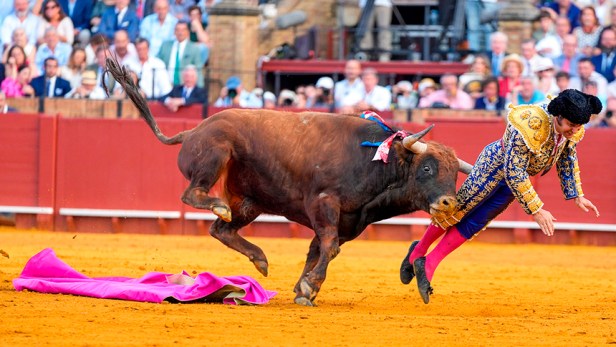 Sin comer ni dormir: torero español revela su estado tras sufrir una cornada en el recto (FUERTE&nbsp;VIDEO)