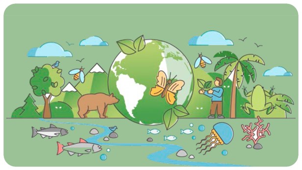 Día Mundial de la Biodiversidad el 22 de&nbsp;mayo