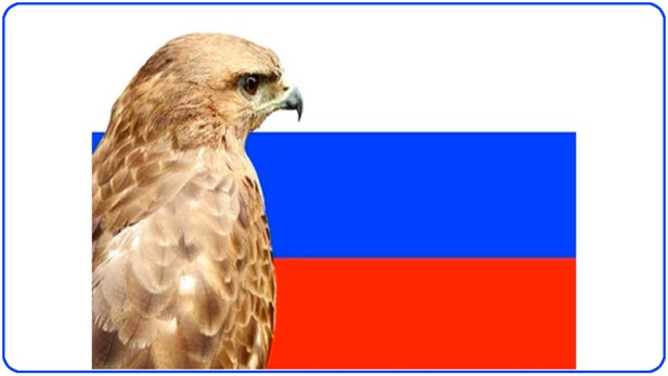 Putin rechazó enérgicamente a los halcones que quieren que ataque a la&nbsp;OTAN.