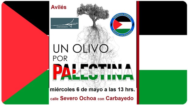 Solidaridad desde Asturias: Un olivo por Palestina | Red Latina sin&nbsp;fronteras