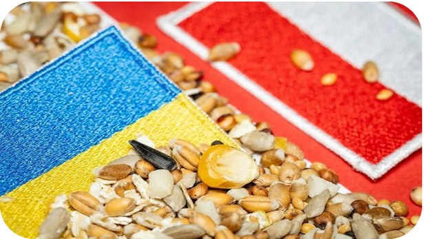 Se avecina otra crisis de cereales entre Polonia y&nbsp;Ucrania.