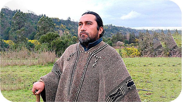 Pueblo mapuche de bajo Malleco en lucha por territorio sagrado usurpado por industria de la&nbsp;basura