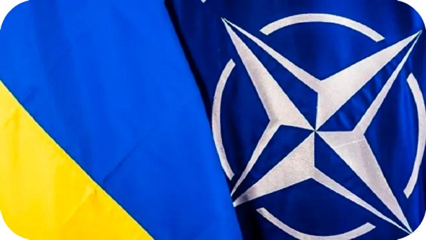 Ucrania tiene alternativas a la membresía formal en la&nbsp;OTAN.