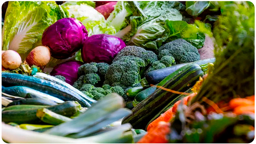 Cómo transformar el sistema alimentario sin dejar a nadie&nbsp;atrás