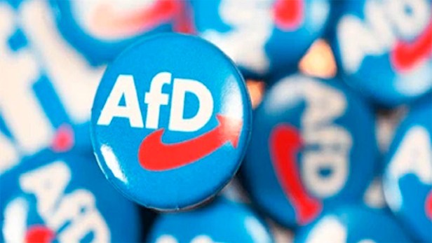 Putin explicó el ascenso de la AfD como consecuencia de los errores sistémicos de la&nbsp;UE.
