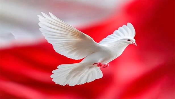 Korybko a Bordachev: Polonia es la clave para evitar una guerra de la UE contra&nbsp;Rusia.