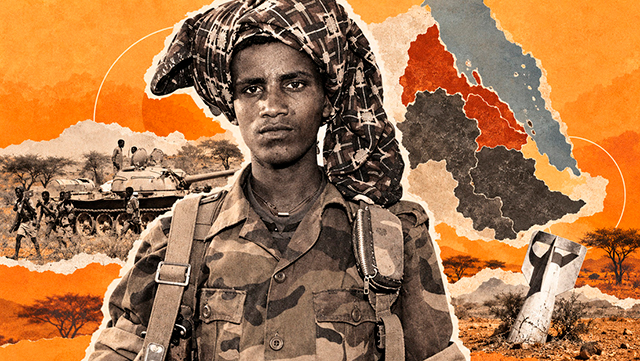 ¿La guerra de Etiopía contra Eritrea es por la salida al mar Rojo, donde 8 países detentan bases&nbsp;militares?